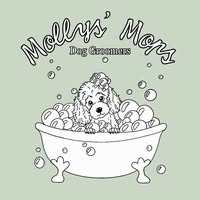 Mollys Mops Dog Groomer