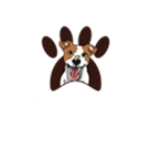 Maddaford's Dog Grooming