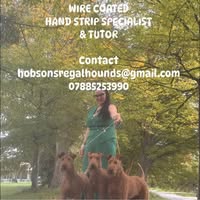 Hobsons Regal Hounds