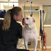 TLC Grooming and Dentals