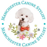 Manchester Canine Stylist