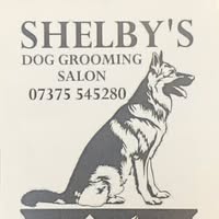 A Groom at Freddie's