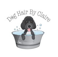 Dog Hair By Claire