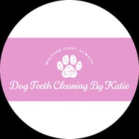 Dog Teeth Cleaning by Katie