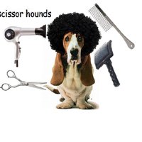 Scissor Hounds