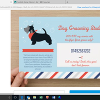Cut Above The Rest Dog Grooming