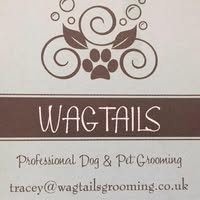 Wagtails Grooming