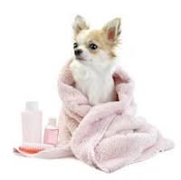 Tailored Dog Grooming