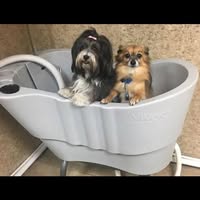 Binx’s Grooming Empawrium