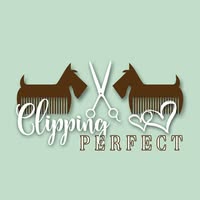 Clipping Perfect