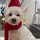 Lolas Tails Dog Groomer