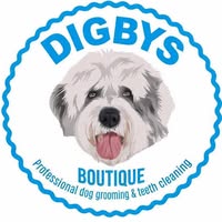 Digbys dog grooming & teeth cleaning.