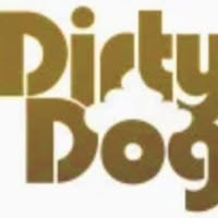 DIRTY DOG GROOMERS