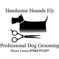 Dobby Dog Groomers