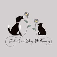Fresh As A Daisy Pet Grooming - Cat Grooming Services