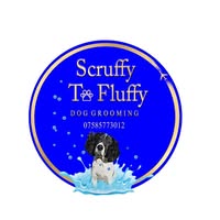 Scruffy to fluffy Dog grooming