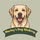 Elite Dogs Grooming