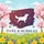 Shake, Bubble & Bark Dog Grooming