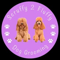 Scruffy 2 fluffy
