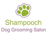 Abi at Shampooch Dog Grooming Salon