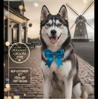 The Pleasant Groom Lytham Pet Groomers