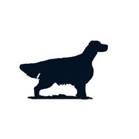 K9 Dog Grooming By Rebecca Goutorbe - Gundog Grooming