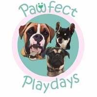 Pawfect Playdays