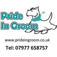 Pride In Groom