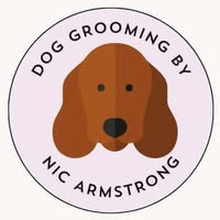 Dog grooming by Nic Armstrong