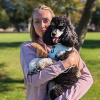 Hazelmutts Dog Grooming