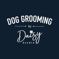 Daisy doodle Grooming