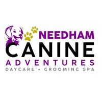 Needham Canine Adventures