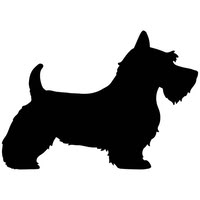Laura's Pampered Pooches Dog Groomer