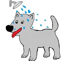 Woof Woof Home - Dog Groomer