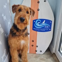 Coastal Cuts
