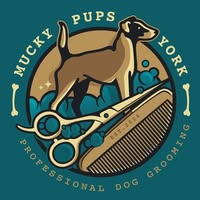 Mucky Pups York