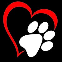 All Star Quality Professional Dog Groomers