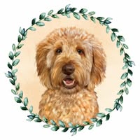 The Grooming Studio, Horsham