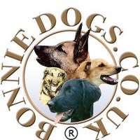 Bonnie Dogs