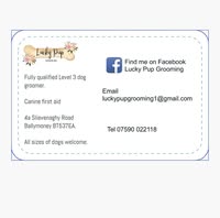Lucky Pup Grooming