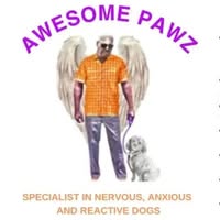 Awesome Pawz