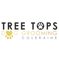 Tree Tops Dog saloon