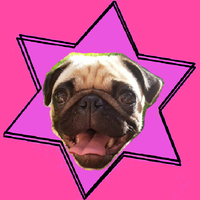 Tina's Dog Grooming