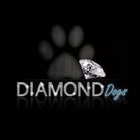 Diamond Dogs Fraserburgh