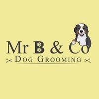 Mr B & Co Dog Grooming
