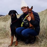 Dog Grooming by Penny Stracey