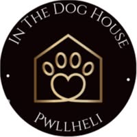 In The Dog House