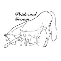 Pride and Groom