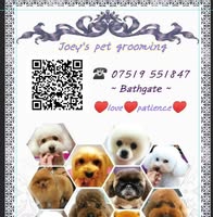 Joey's pet grooming