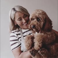 Ty Ci Dog Grooming